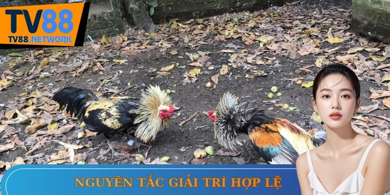 Quy định chơi đúng chuẩn bạn cần biết