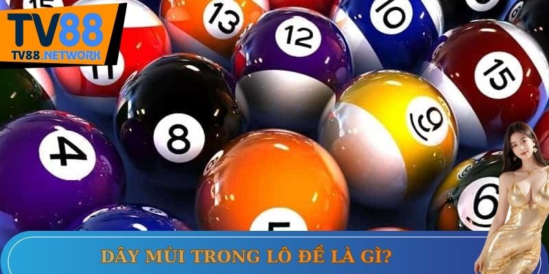 Thời điểm vàng để đánh dây Mùi trong lô đề